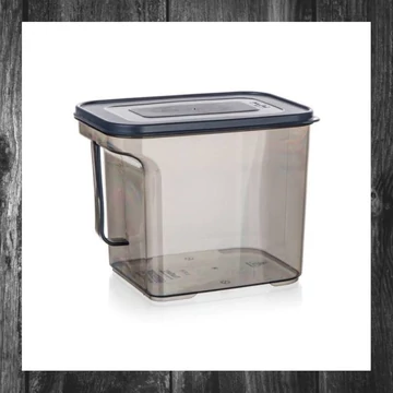 Cutie de depozitare cu mâner BANQUET ZOYA, 2,75L 55077473