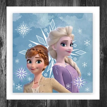 Disney Frozen Prosoape pentru Față și Mâini 30x30cm BRM016200