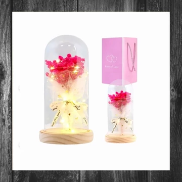 Floare veșnică sub clopot cu iluminare LED ROZ23
