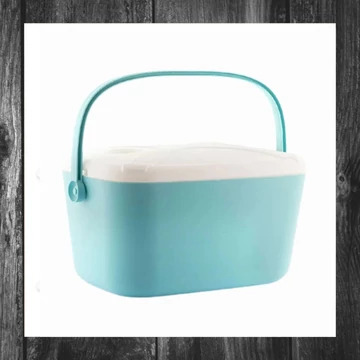 Geantă frigorifică rigidă portabilă Koolty 20 L InnovaGoods 5260103770