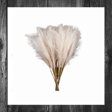 Planta decorativă artificială, iarbă de pampas 56,5 cm SZR05