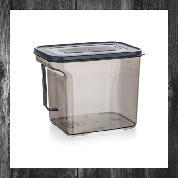 Cutie de depozitare cu mâner BANQUET ZOYA, 2,75L 55077473