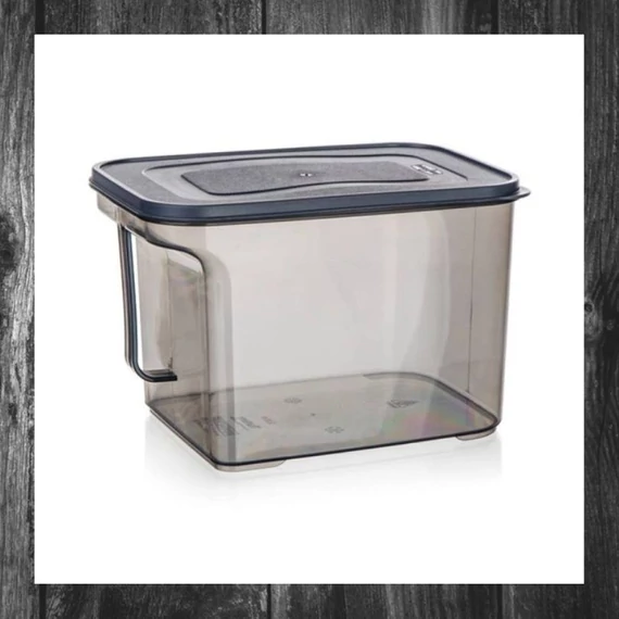 Cutie de depozitare cu mâner BANQUET ZOYA, 3,25L 55077474