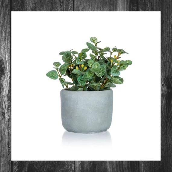 HOME DECOR Plantă artificială în ghiveci de beton – EUCALYPTUS, 19 × 18 cm 63935051

