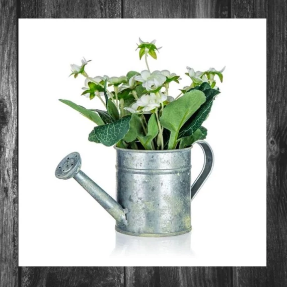 HOME DECOR Floare artificială în ghiveci de tablă – BEGONIA, 17 × 15 cm 63935063
