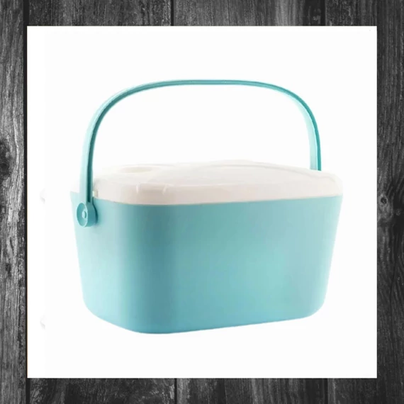 Geantă frigorifică rigidă portabilă Koolty 20 L InnovaGoods 5260103770