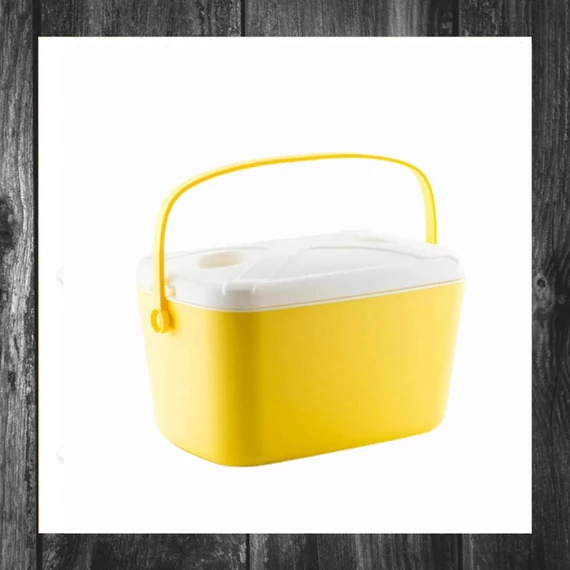 Geantă frigorifică rigidă portabilă Lilty 15 L InnovaGoods 5260103878