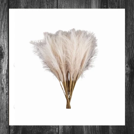 Planta decorativă artificială, iarbă de pampas 56,5 cm SZR05